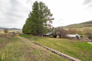 Irrigation pipe and pasture