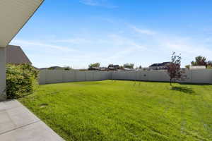 Lush fenced back yard