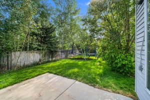 Backyard with full-grown trees