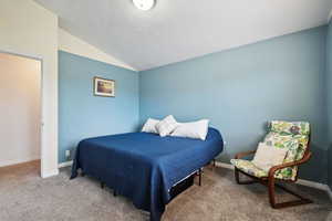 Carpeted bedroom featuring lofted ceiling