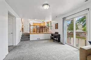 Carpeted living room featuring a wealth of natural light