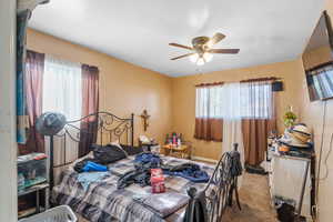 Carpeted bedroom featuring ceiling fan and multiple windows