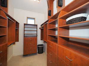 Spacious closet with light carpet