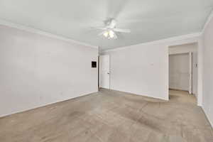 Empty room with ceiling fan, light colored carpet, and ornamental molding