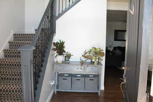 Stairs with hardwood / wood-style flooring