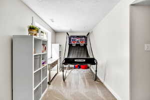 Bedroom with a textured ceiling and carpet flooring