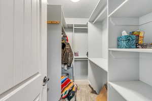 Spacious closet featuring carpet flooring