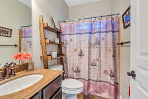 Bathroom featuring toilet, vanity, and a shower with curtain