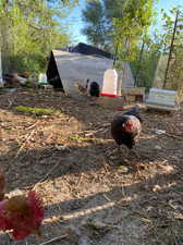 View of community Gardens