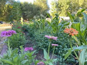 View of community Gardens