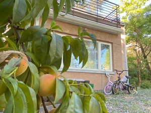 View of property exterior from gardens. 2nd level deck can be seen here.