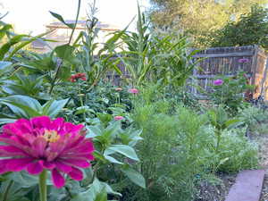 View of community Gardens