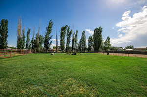 View of separate grassed yard for goats that is also fully fenced.