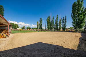 View of area for horses, also fully fenced.