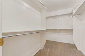 Primary Walk-In Closet with Lots of Space