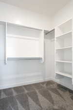 Walk in closet with carpet