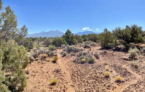 Photo 6 of 8 W PRITCHETT ARCH TRAIL