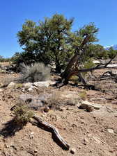 Photo 10 of 8 W PRITCHETT ARCH TRAIL