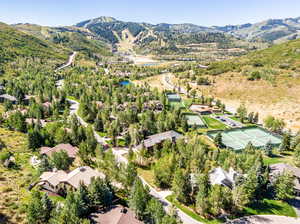 Bird's eye view with a mountain view