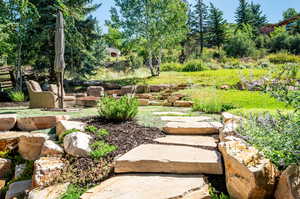 View of yard with a patio area