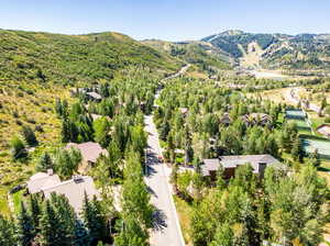 Birds eye view of property with a mountain view