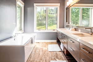 Bathroom featuring plenty of natural light, a bathing tub, and vanity