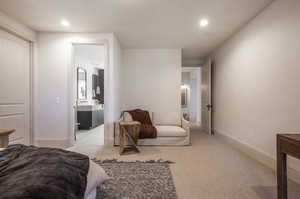 Carpeted bedroom with ensuite bath