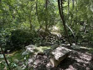 View of local wilderness featuring a water view