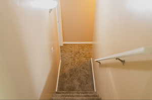 Stairway with carpet floors