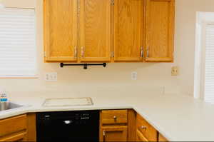 Kitchen featuring a wealth of natural light and black dishwasher