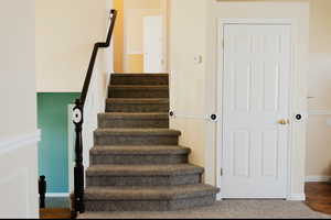 Staircase featuring hardwood / wood-style flooring