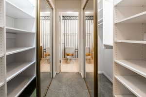 Spacious closet featuring carpet flooring off of the second bath