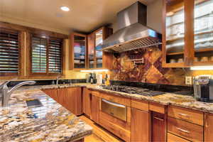 Kitchen with light stone counters, backsplash, a healthy amount of sunlight, and exhaust hood