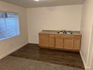 Interior space with dark wood-type flooring, sink, and light brown cabinets