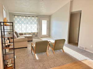 Living room featuring light hardwood / wood-style floors, a textured ceiling, and lofted ceiling