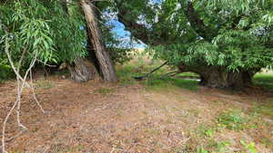 Photo 28 of 806  STRINGTOWN RD
