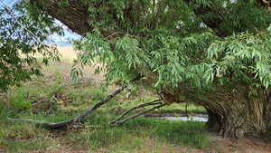 Photo 43 of 806  STRINGTOWN RD
