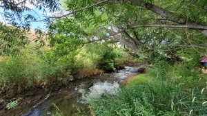 Photo 41 of 806  STRINGTOWN RD