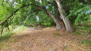 Photo 26 of 806  STRINGTOWN RD