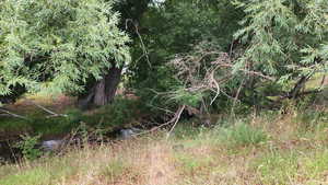 Photo 20 of 806  STRINGTOWN RD