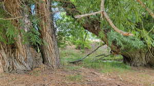 Photo 42 of 806  STRINGTOWN RD