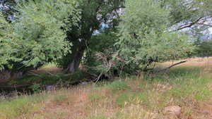 Photo 21 of 806  STRINGTOWN RD