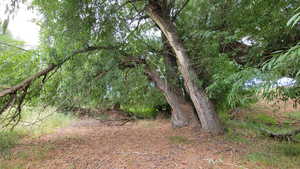 Photo 27 of 806  STRINGTOWN RD