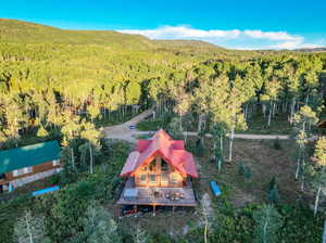 Aerial view with a mountain view