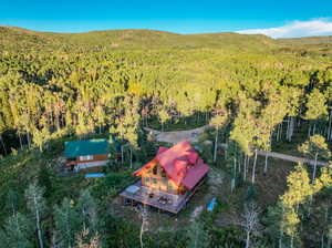 Bird's eye view with a mountain view