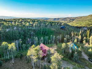 Birds eye view of property with a mountain view