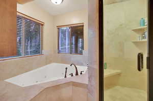 Bathroom with tiled bath