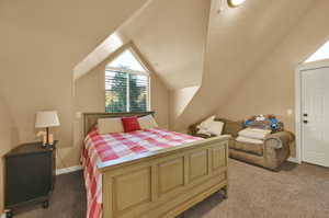 Bedroom with carpet flooring and lofted ceiling