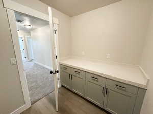 Bathroom featuring dark wood finished floors and vanity