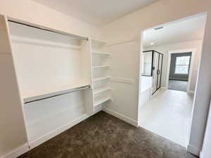 Spacious closet with dark carpet